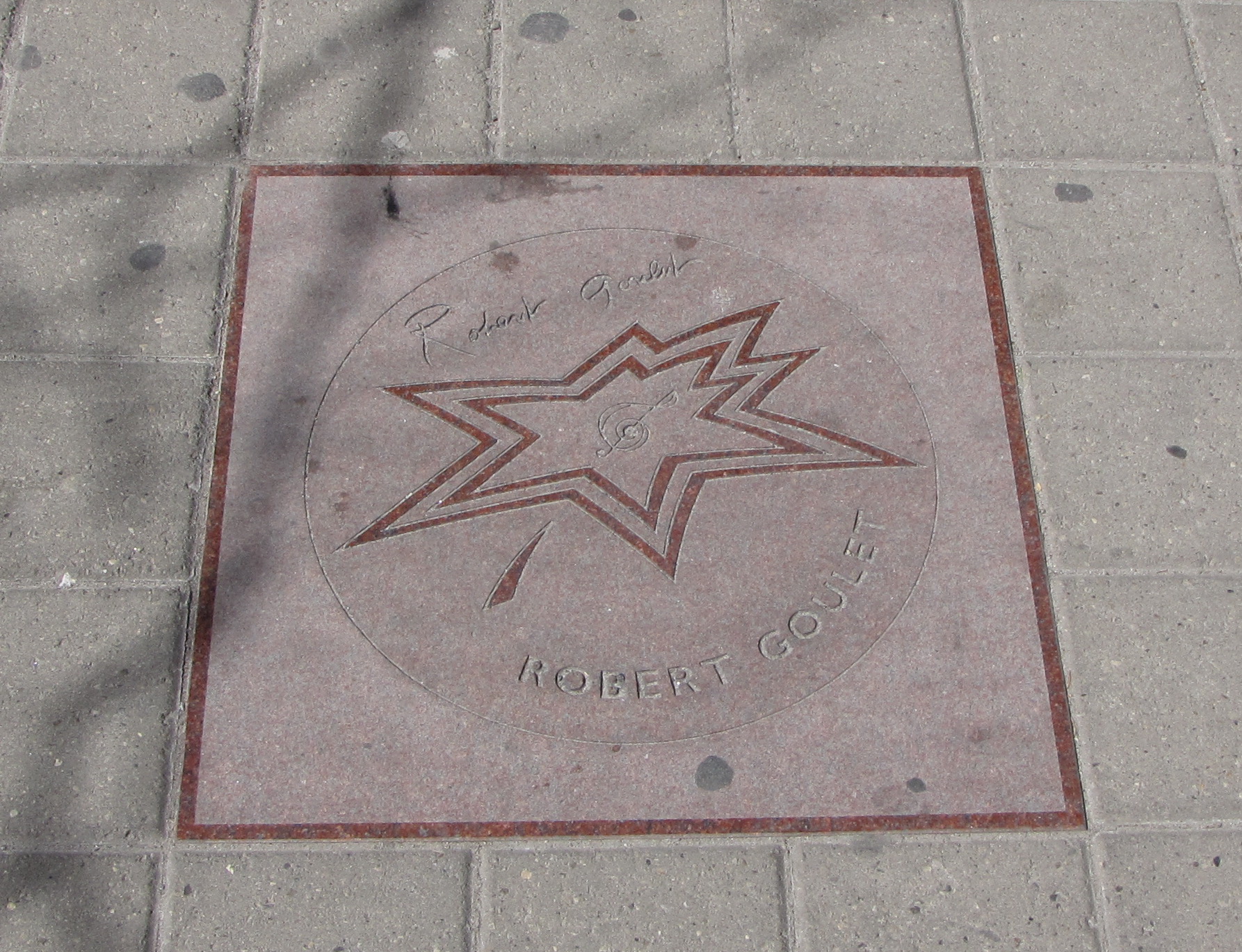 Star on Canada's Walk of Fame (2006)